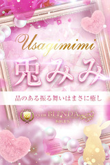 兎　みみ サムネイル photo1