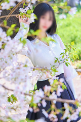 MIDORI サムネイル photo2