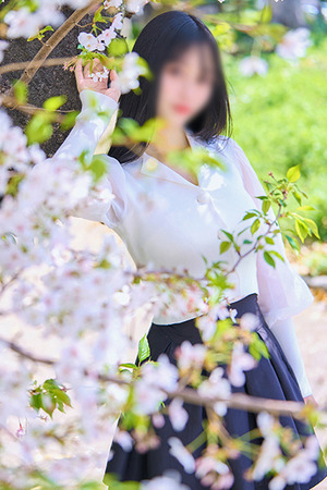 MIDORI photo2