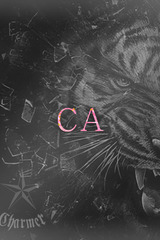 SUI【B】 サムネイル photo1