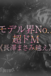 KOHAKU【B】 写真