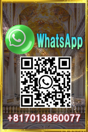 WhatsApp Messenger photo1