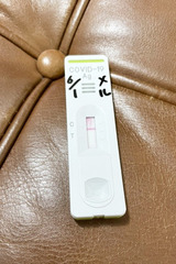 メル サムネイル photo3