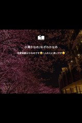 小澤かなめ(おざわかなめ) サムネイル photo3