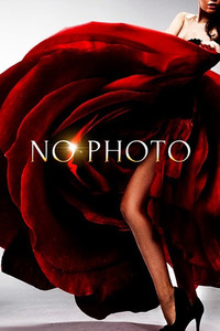 飛鳥【アスカ】 写真