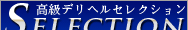 高級風俗サイト、高級デリヘルselection