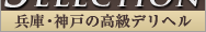 超高級な兵庫・神戸のデリヘル情報サイト