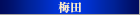 梅田 風俗