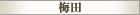 梅田の高級風俗