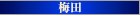 梅田の風俗店の高級デリヘルを紹介するサイト